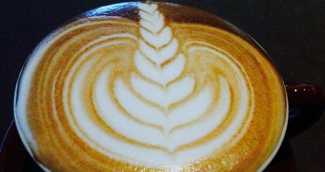 Moja Coffee