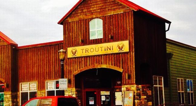 Troutini