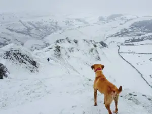 Longnor Fish and Chip Shop and Tea Room