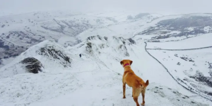 Longnor Fish and Chip Shop and Tea Room
