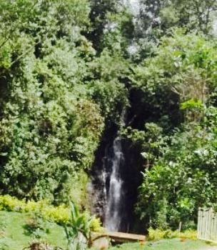 Charco corazón