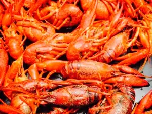 HotHeads Crawfish