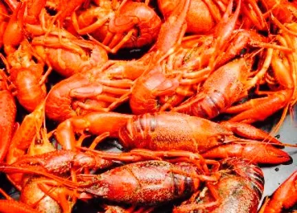 HotHeads Crawfish