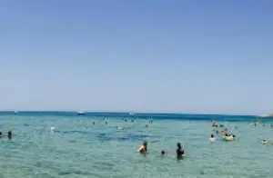 Maracaibo Lido