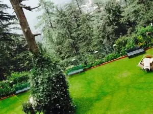 Zafraan Shimla