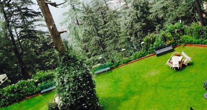 Zafraan Shimla