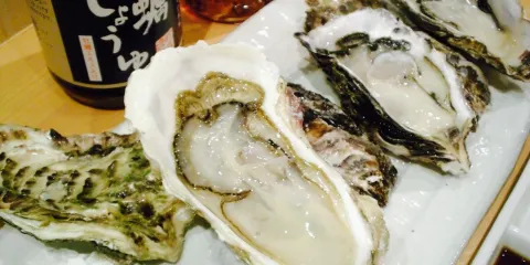 Kaki Matsushima Koha Matsushima Kaigan Ekimae No. 2