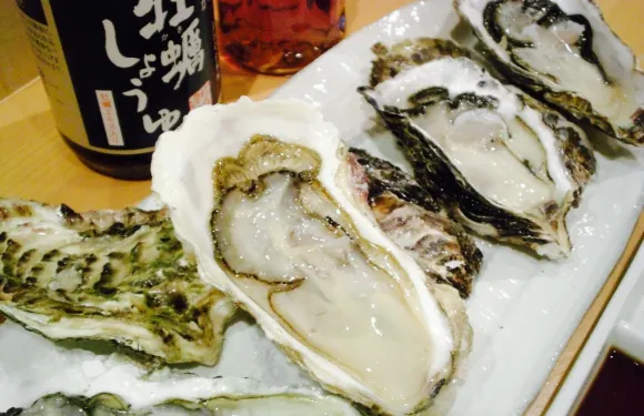 Kaki Matsushima Koha Matsushima Kaigan Ekimae No. 2