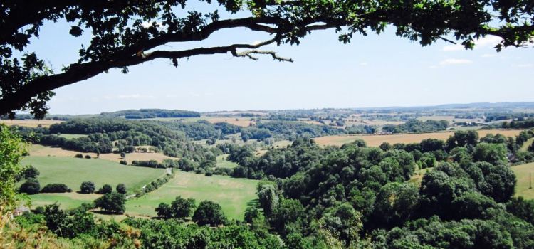 Le Saint Leo
