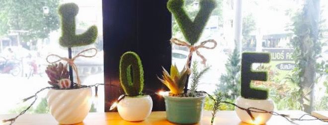 Summer Corner