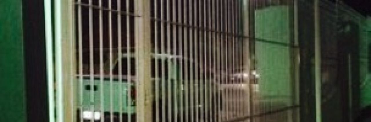 Tuga's Bar E Restaurante