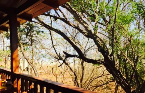 Hotel Las Tortugas -Dining