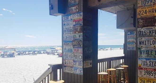 Whale's Tail At Seascape