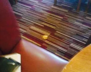 The Wellow, Hungry Horse