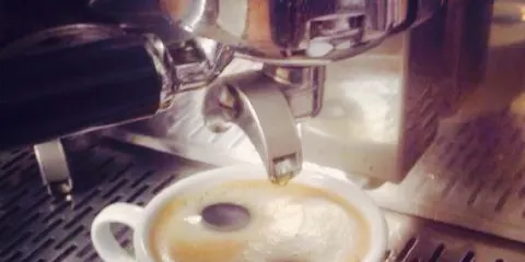 Tea Junction and More