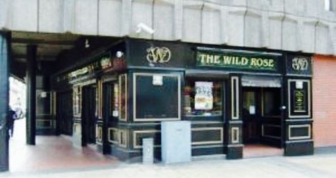 The Wild Rose