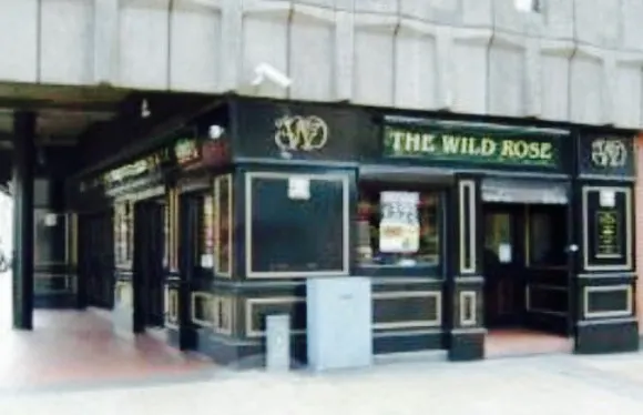 The Wild Rose