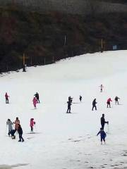 Zhaoyang Ski Field