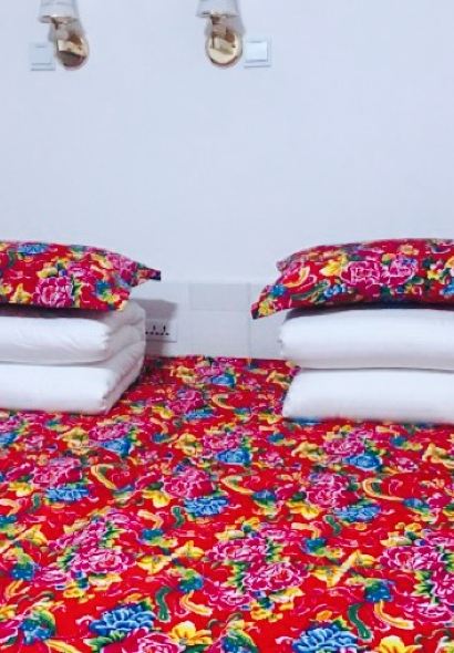 北红村王大妈农家院