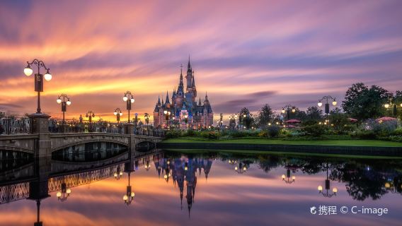 上海迪士尼1日門票+快速入園+8或14項快速卡+可選煙花