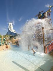 Wild Wadi Waterpark Dubai