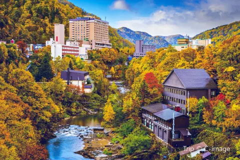 Sapporo image