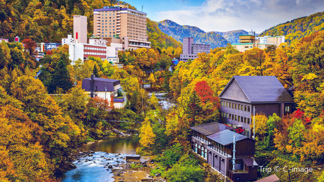 Maple Leaf Viewing in Sapporo