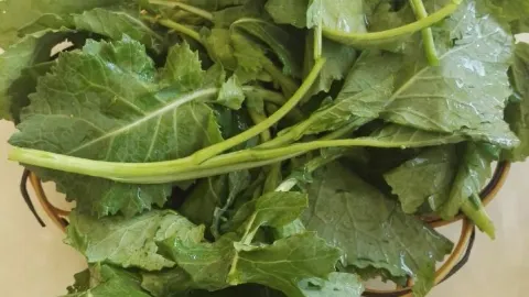 独菇一味 in 羅平