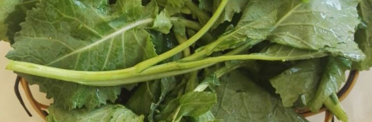独菇一味