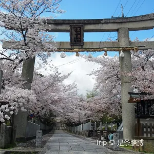 向日神社