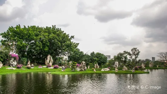 雲石公園鱷魚潭