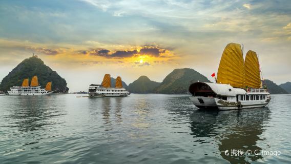 VIP : World Heritage Site Halong Bay Day Trip Cruise - Exclusive boat & Limestone cave + Dinner
