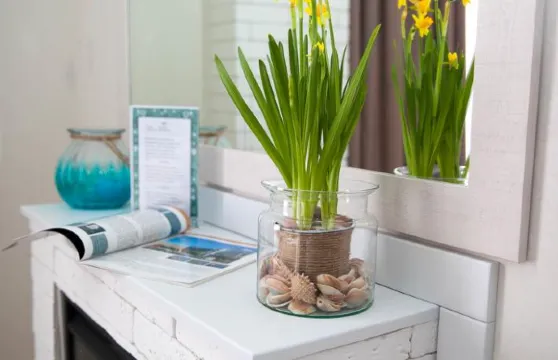 哈爾科夫出租公寓