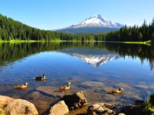 Mt Hood