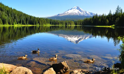 Mt Hood