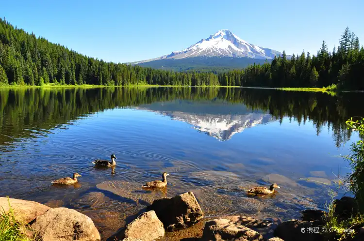 Hotels in Hood River County