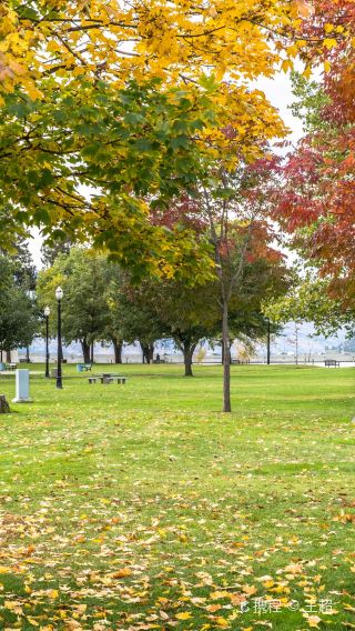 Vancouver One Day Tour