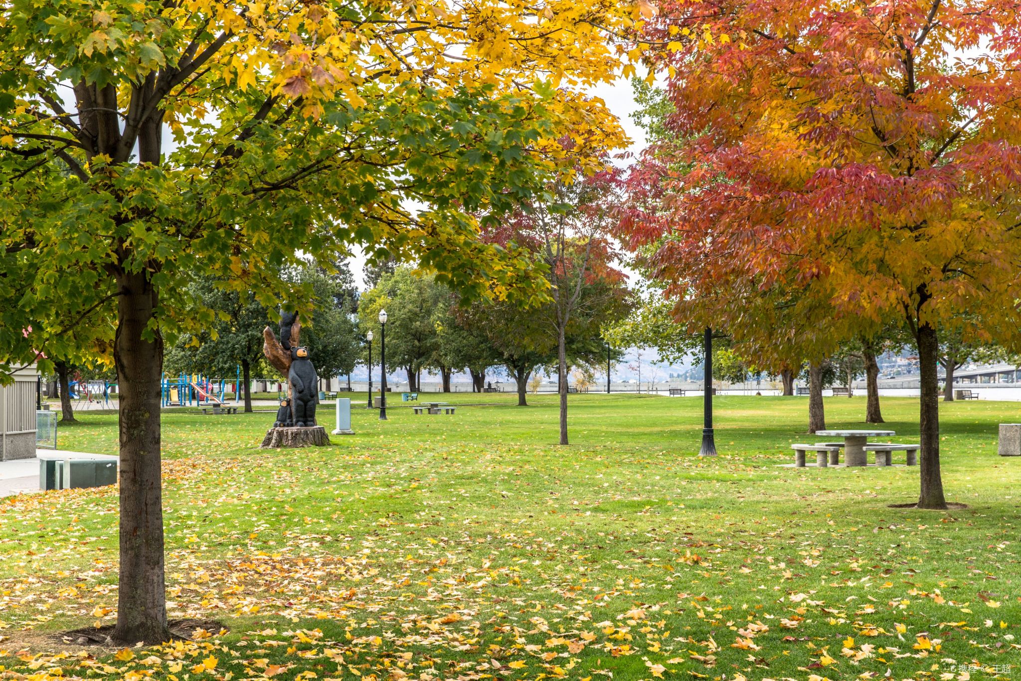 Tour di un giorno a Vancouver
