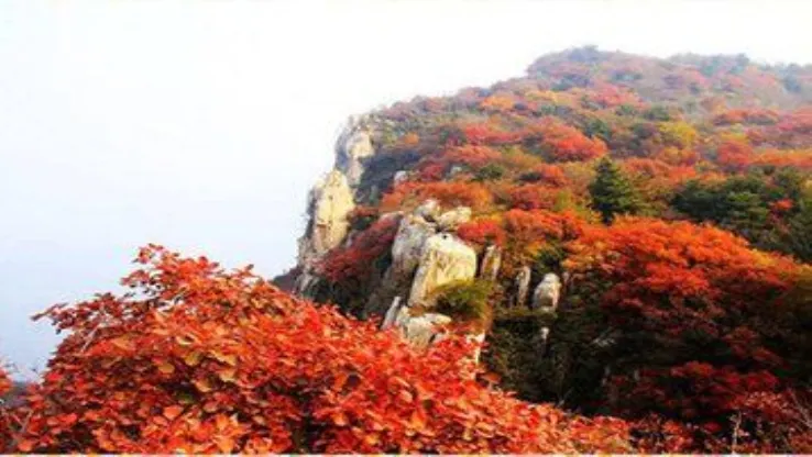 Fall Viewing Attractions