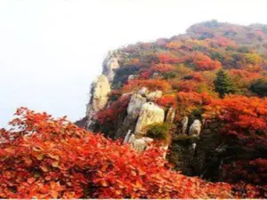 황백원