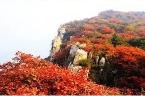 Huang Bai Yuan