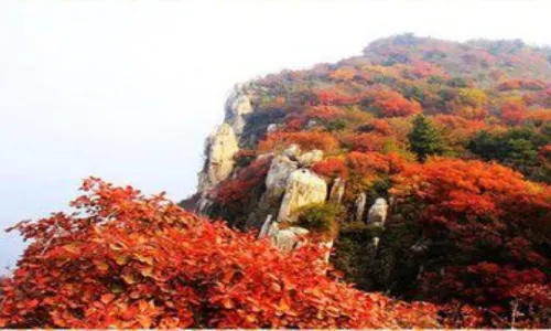 Huang Bai Yuan