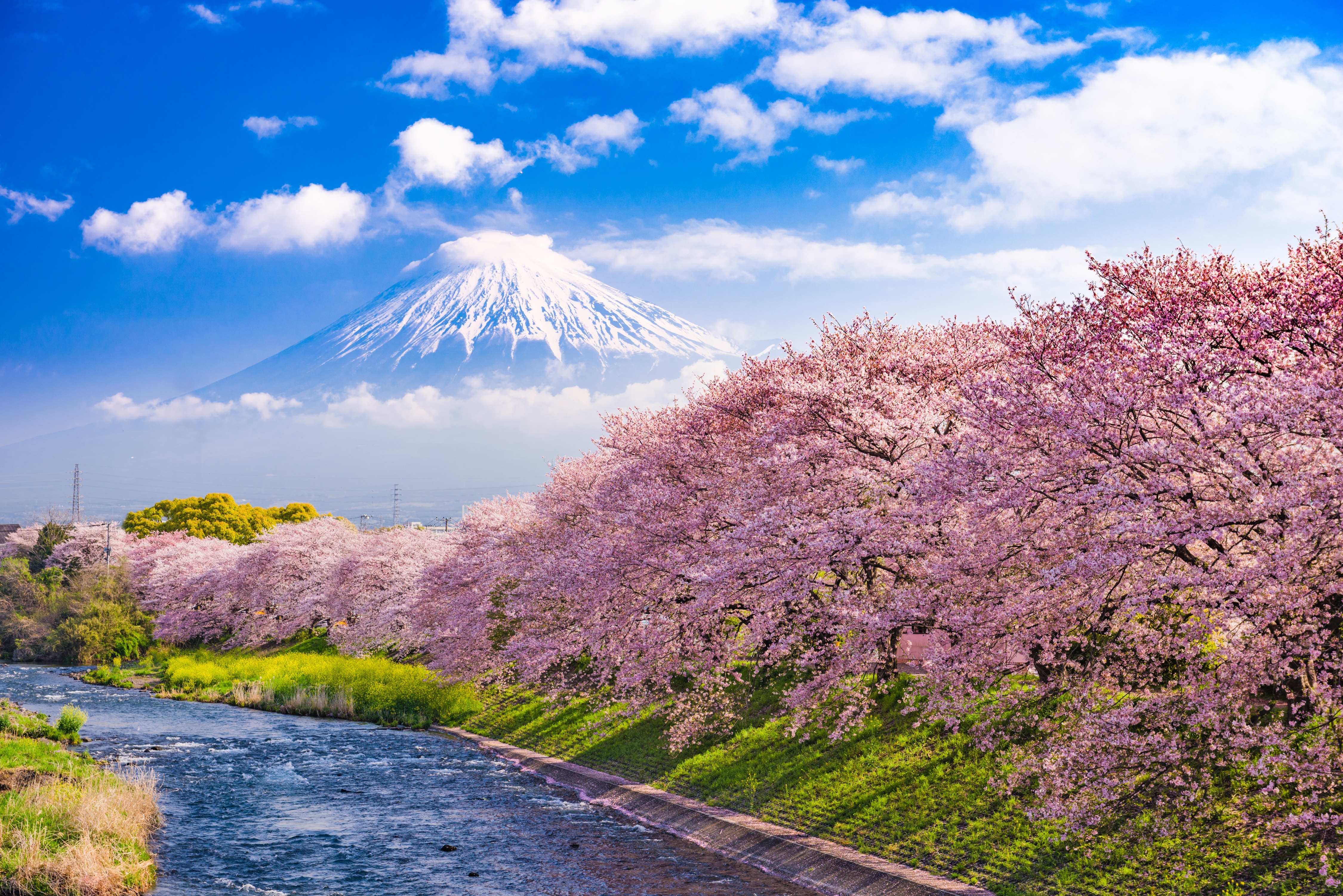 Mount Fuji
