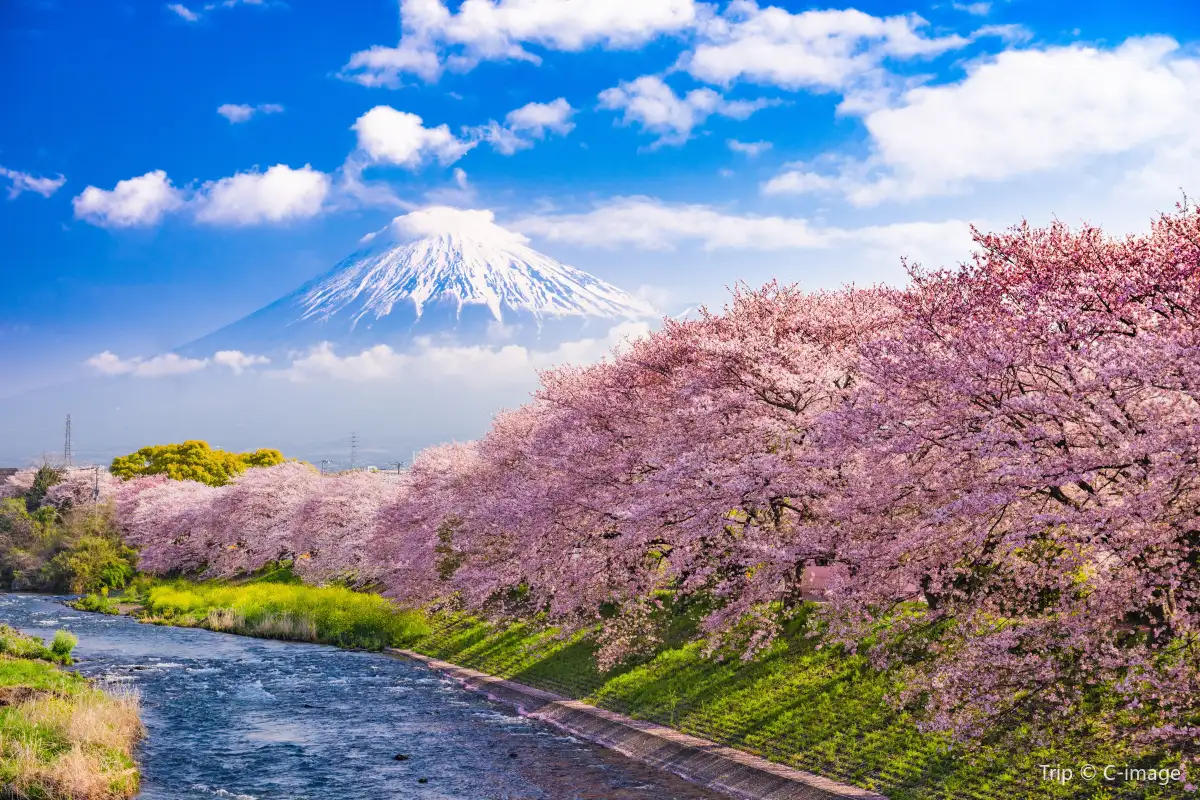 Mount Fuji