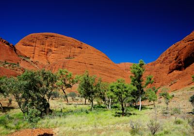 Kata Tjuta - Valley of the Winds