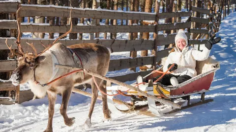 Sledding in Rovaniemi attraction in Lapland