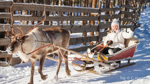Snow Sledding in Rovaniemi