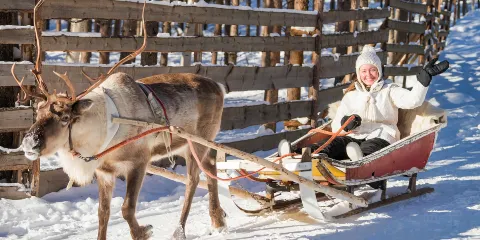 羅瓦涅米雪橇