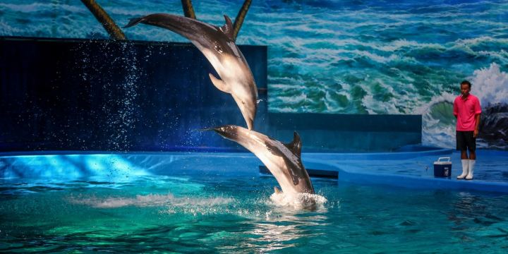 Polar Ocean World