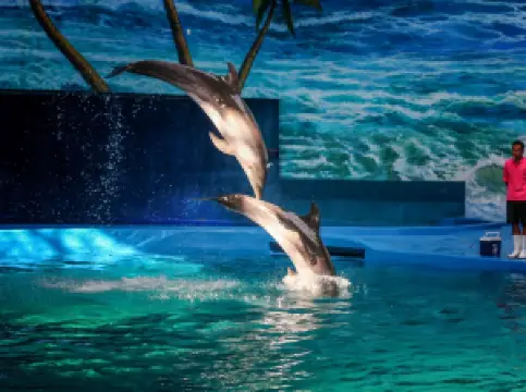 โลกทะเลขั้วโลกของ Ganzhou